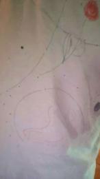 wildcoppia74 webcam model stream image