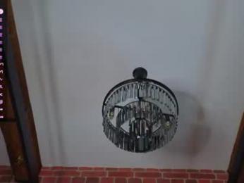 oke_doke webcam model stream image