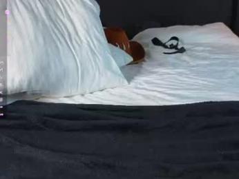 oke_doke webcam model stream image