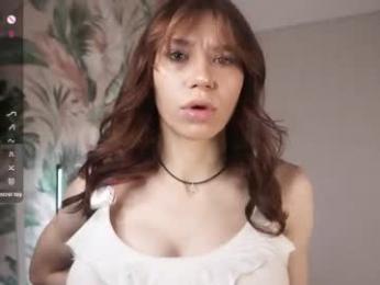 _vi_vi_ webcam model stream image