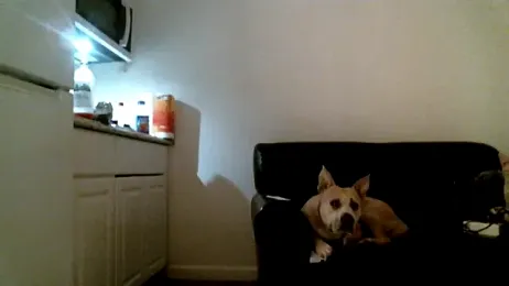 SexyB214 webcam model stream image