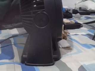 mexicanpapibear webcam model stream image