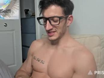 hardselfone webcam model stream image
