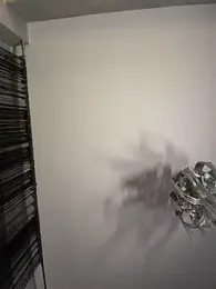 صورة بث Andrestarr