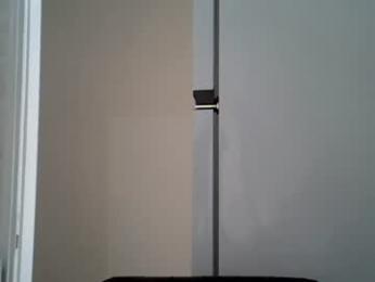 fortiori8 webcam model stream image