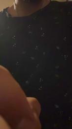 Diebull webcam model stream image