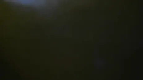 معاينة كاميرا bialoba7