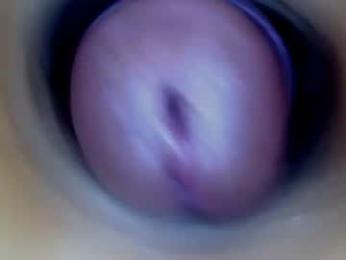 paulainoscente webcam model stream image