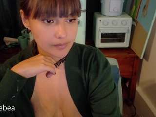 savethebea webcam model stream image