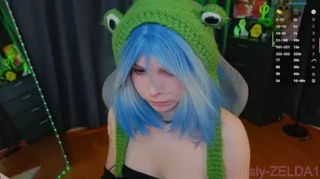 zelda_1 webcam model stream image