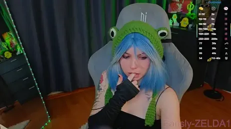 zelda_1 webcam model stream image