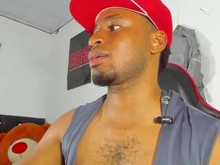 prince-gemini webcam preview