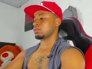 prince-gemini webcam model stream image