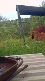 Lacasadelilit webcam preview